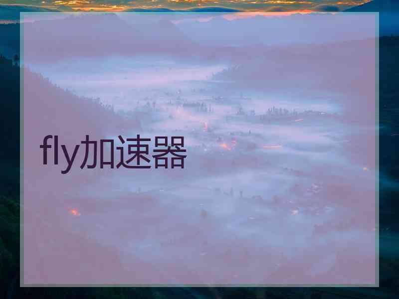 fly加速器