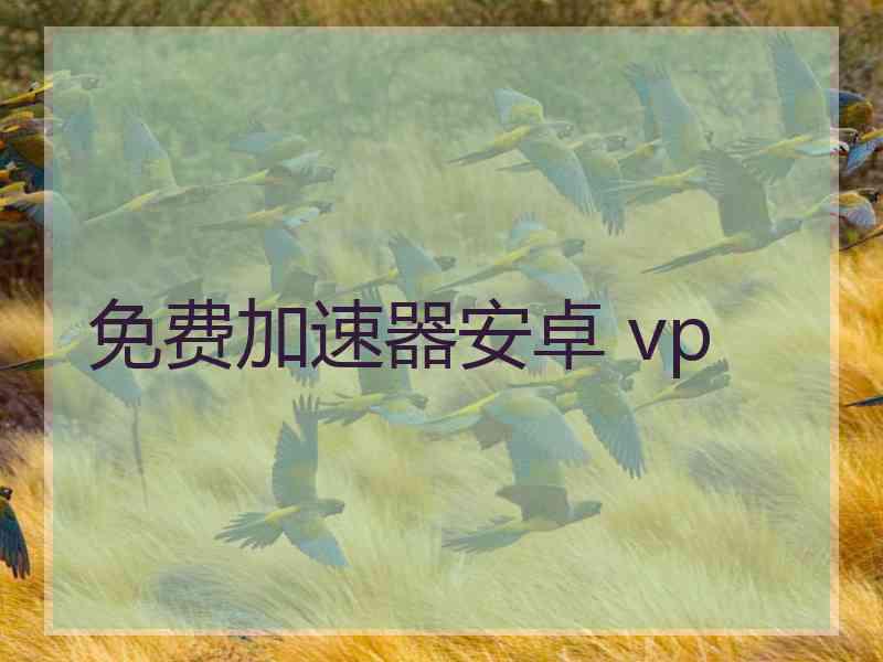 免费加速器安卓 vp