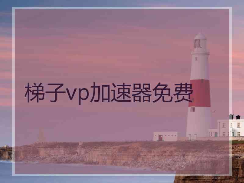 梯子vp加速器免费