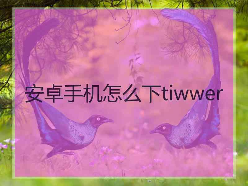 安卓手机怎么下tiwwer