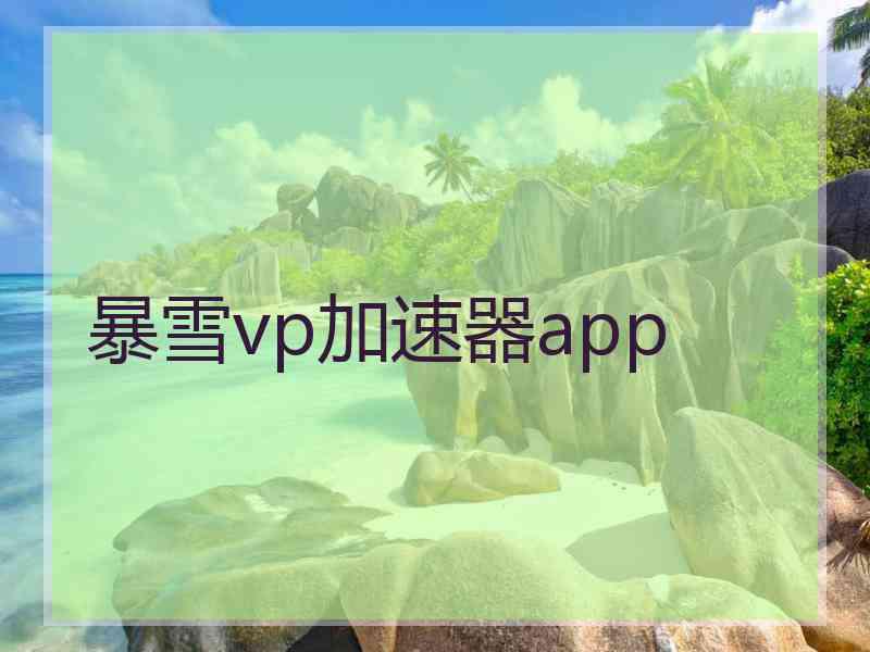 暴雪vp加速器app