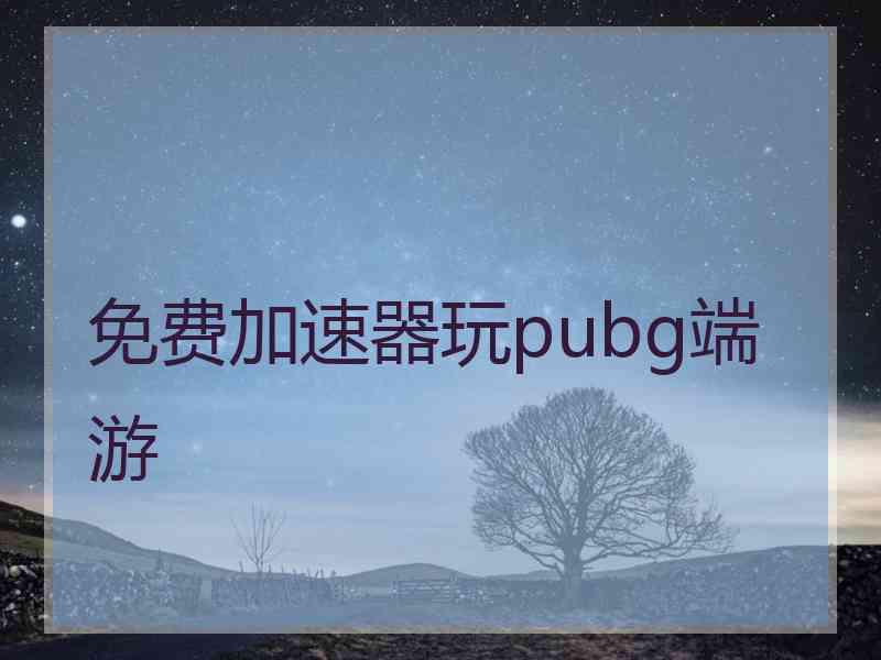 免费加速器玩pubg端游