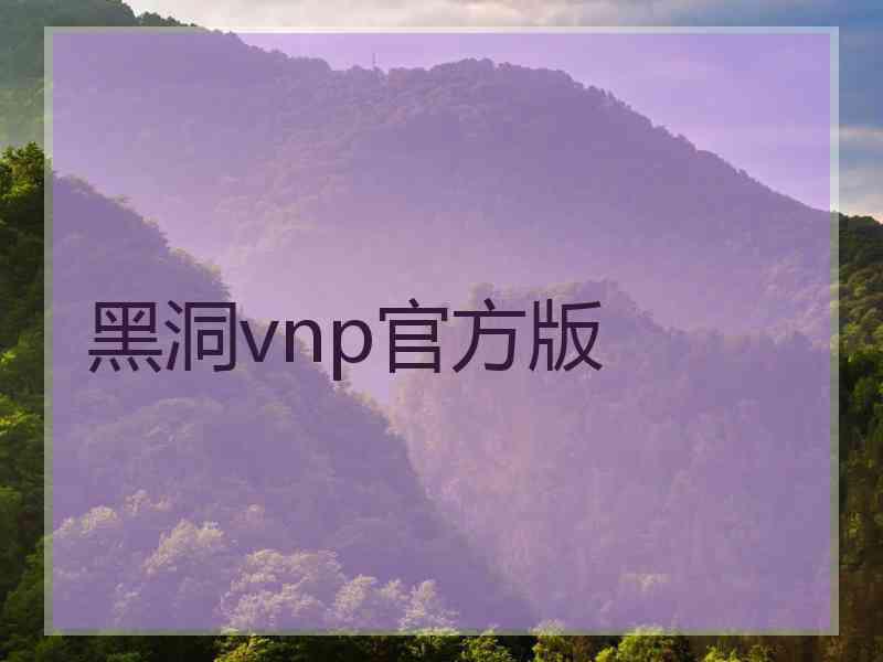 黑洞vnp官方版