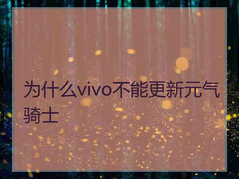 为什么vivo不能更新元气骑士