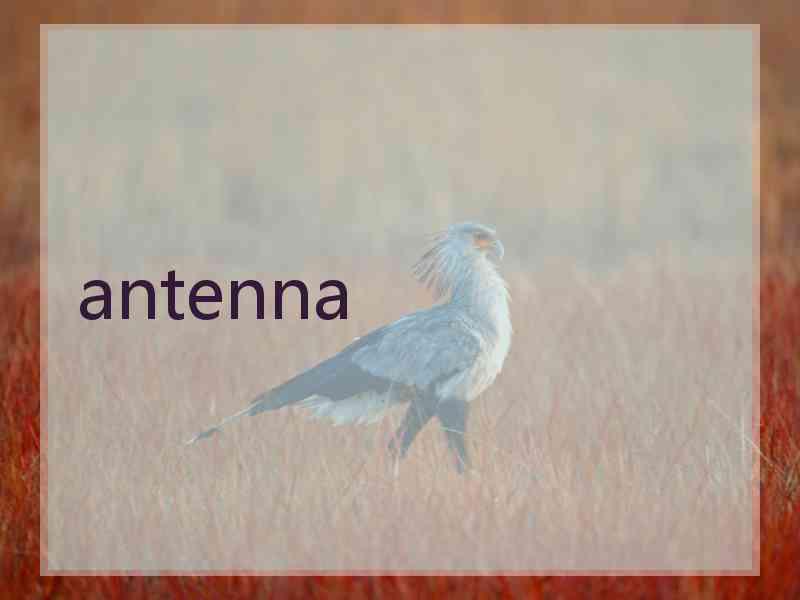 antenna