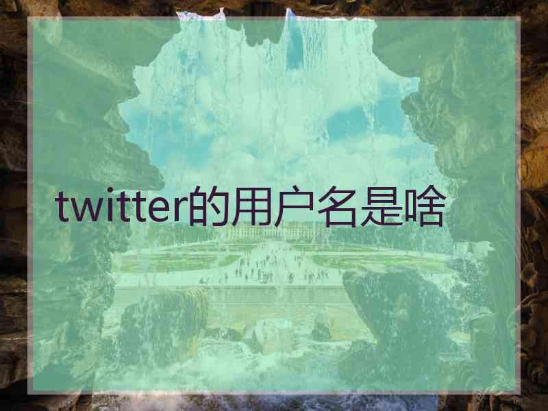 twitter的用户名是啥