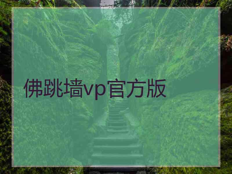 佛跳墙vp官方版