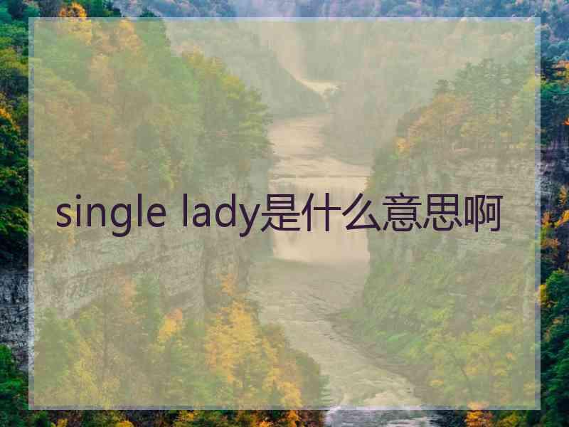 single lady是什么意思啊