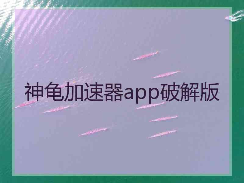 神龟加速器app破解版