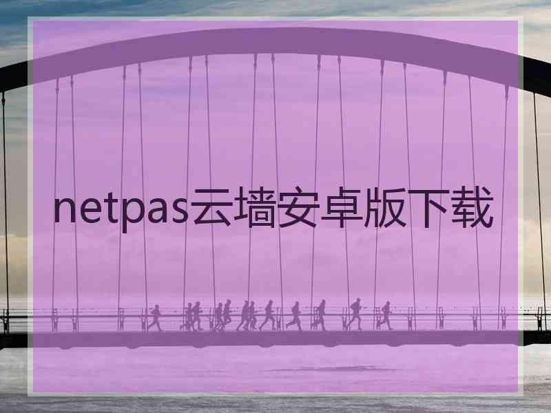 netpas云墙安卓版下载