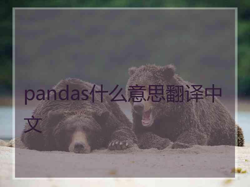 pandas什么意思翻译中文