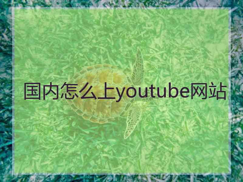 国内怎么上youtube网站