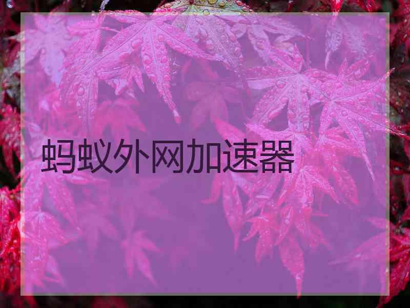 蚂蚁外网加速器