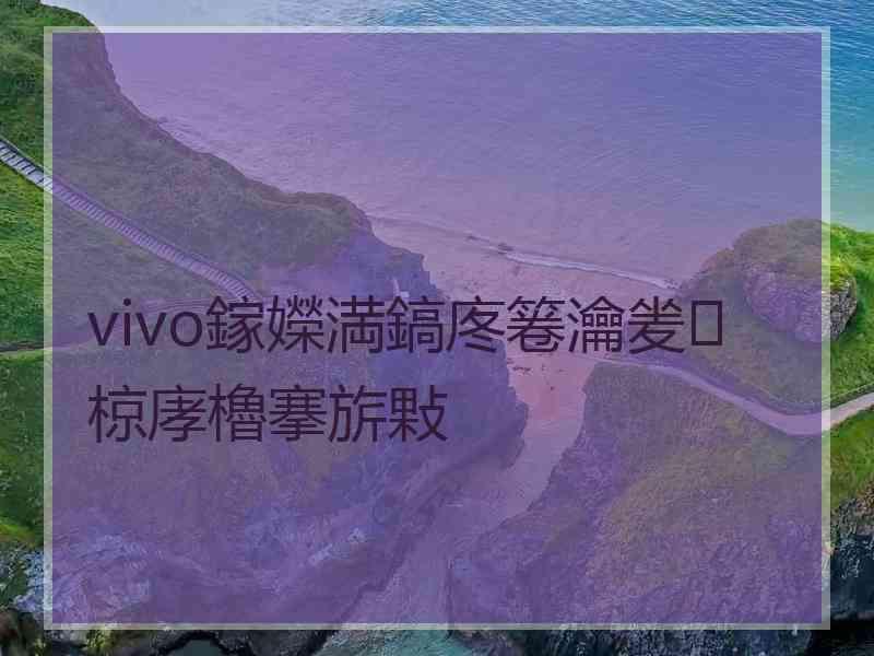 vivo鎵嬫満鎬庝箞瀹夎椋庨櫓搴旂敤