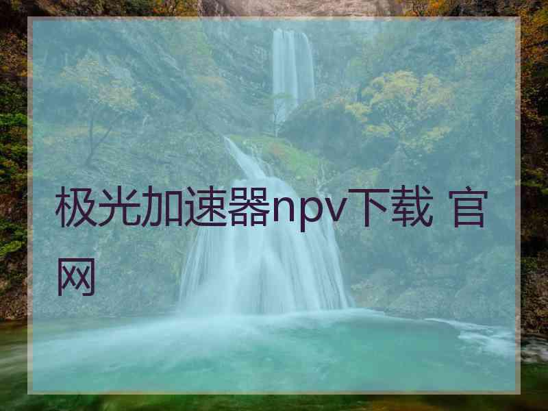 极光加速器npv下载 官网