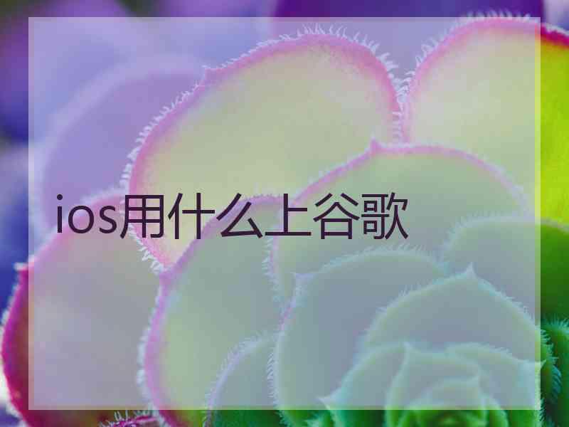 ios用什么上谷歌