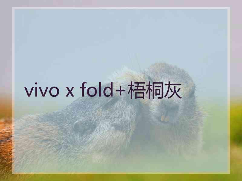 vivo x fold+梧桐灰