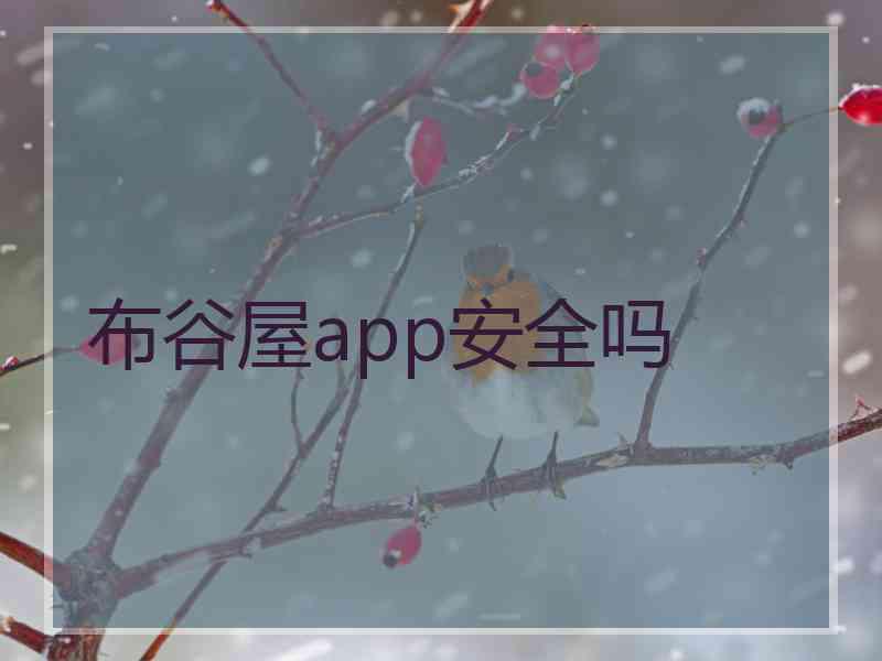 布谷屋app安全吗