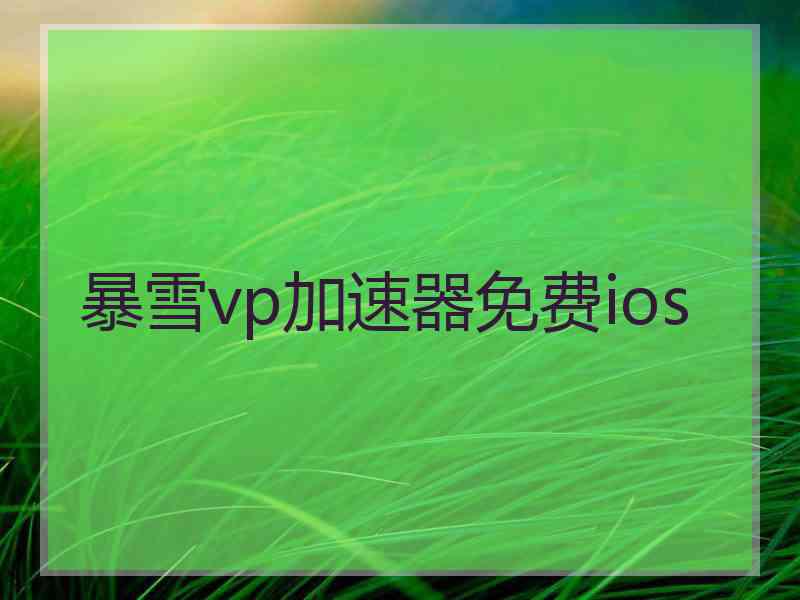 暴雪vp加速器免费ios