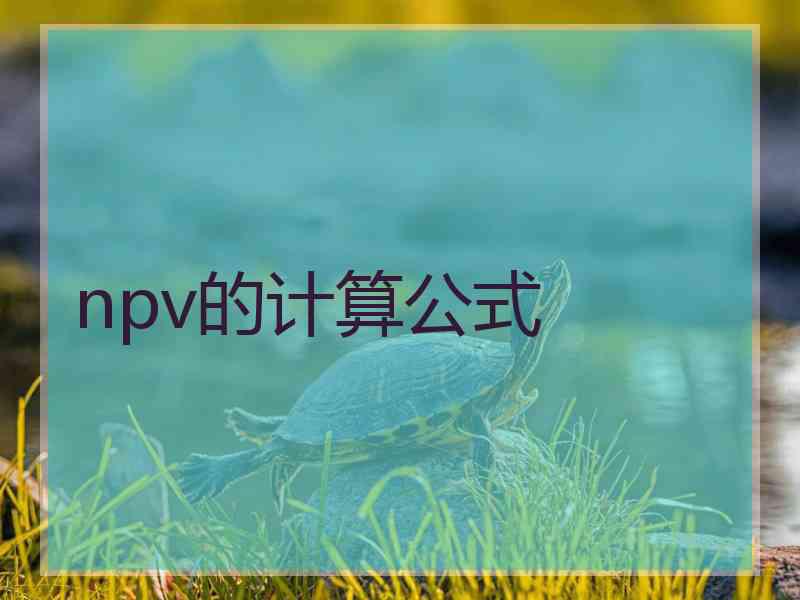 npv的计算公式