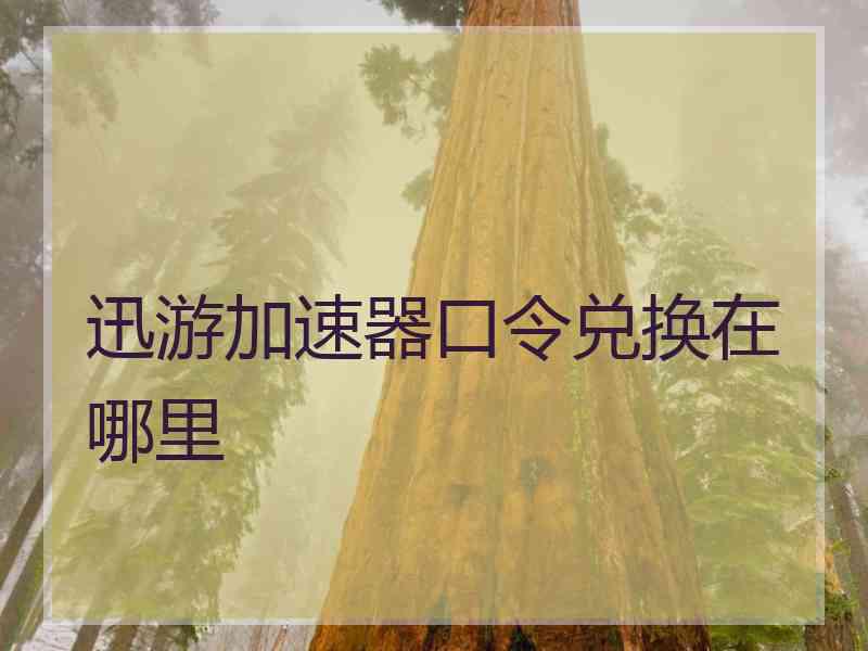 迅游加速器口令兑换在哪里