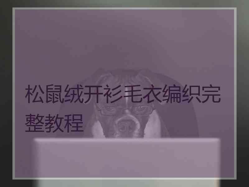 松鼠绒开衫毛衣编织完整教程