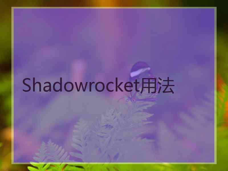 Shadowrocket用法