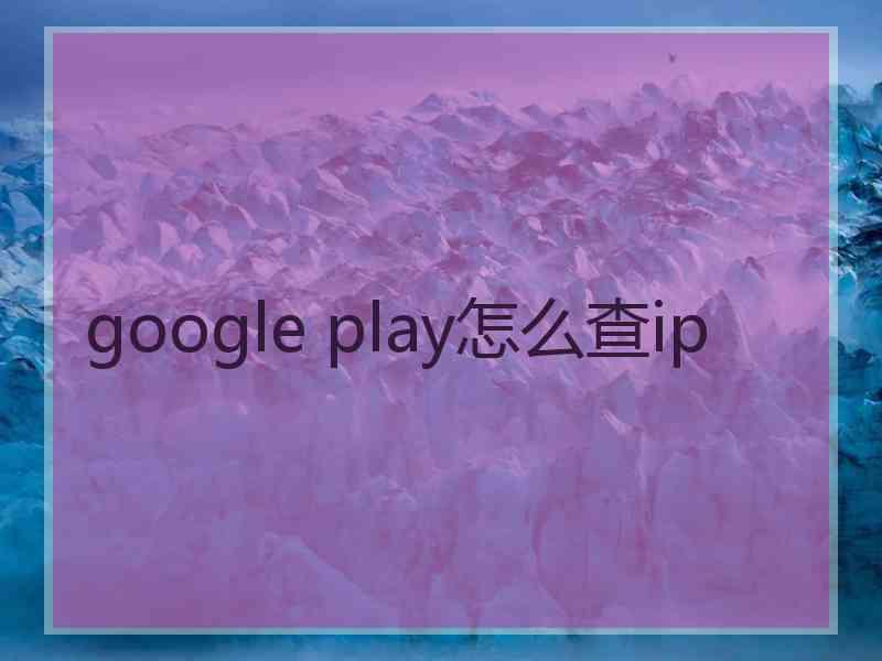 google play怎么查ip