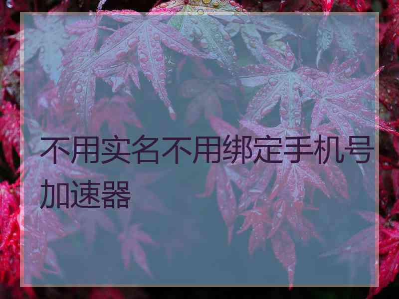 不用实名不用绑定手机号加速器