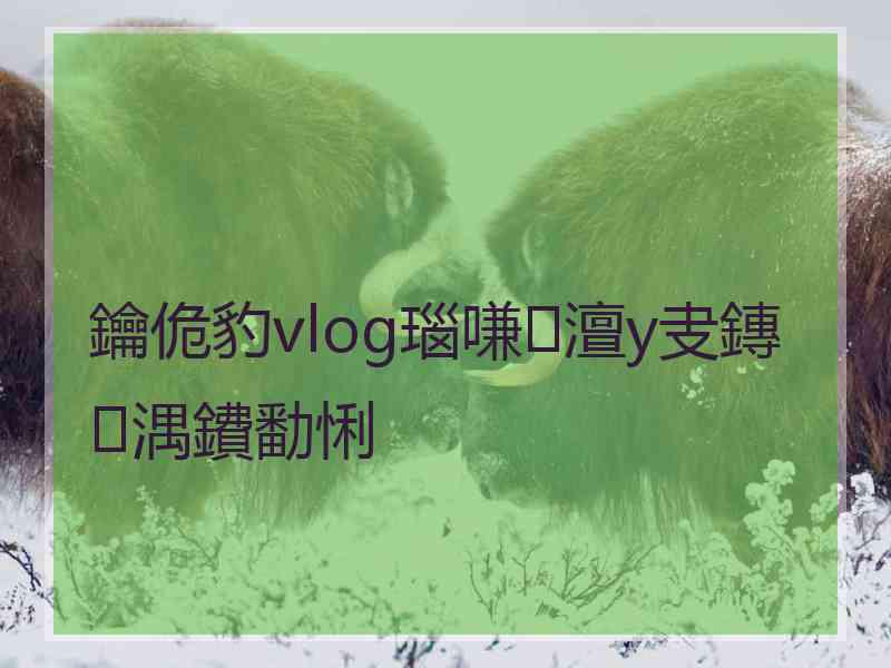 鑰佹豹vlog瑙嗛澶у叏鏄湡鐨勫悧