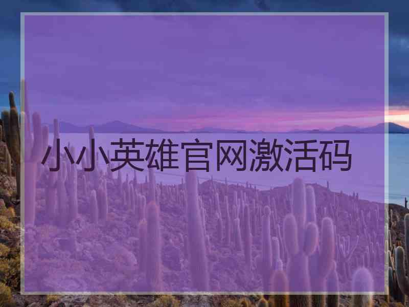 小小英雄官网激活码