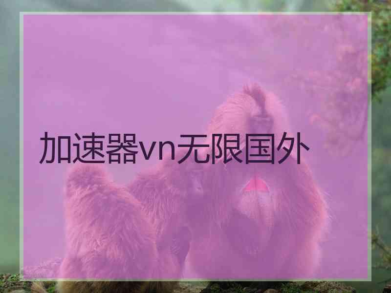 加速器vn无限国外