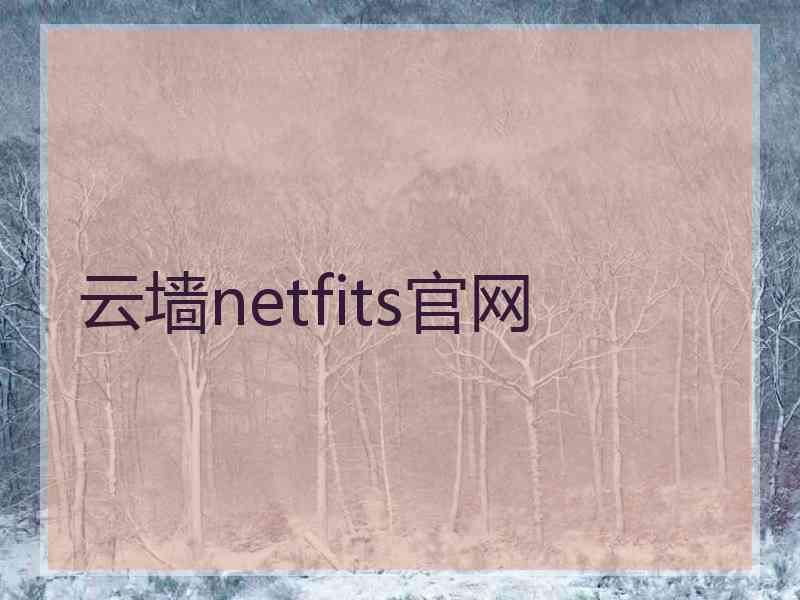 云墙netfits官网