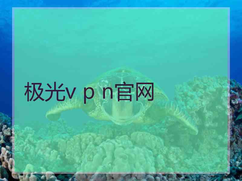 极光v p n官网