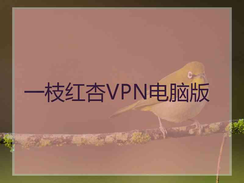 一枝红杏VPN电脑版