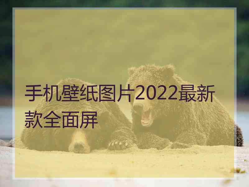 手机壁纸图片2022最新款全面屏