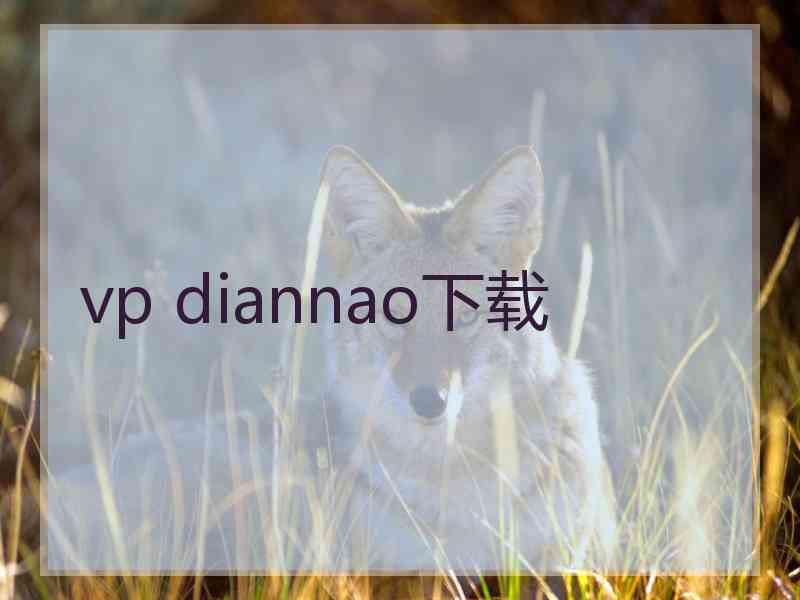 vp diannao下载