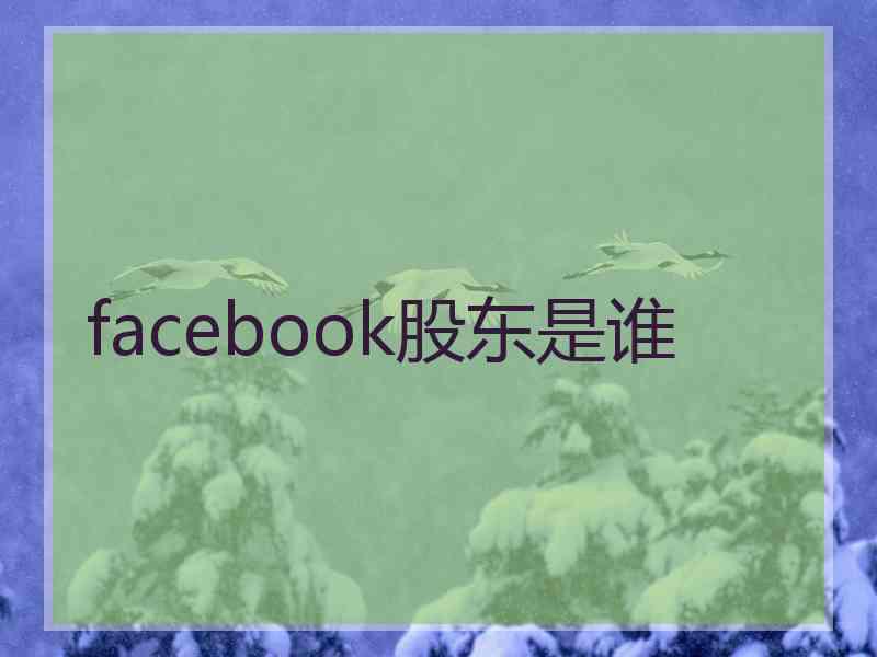 facebook股东是谁