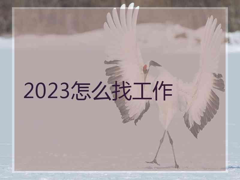 2023怎么找工作