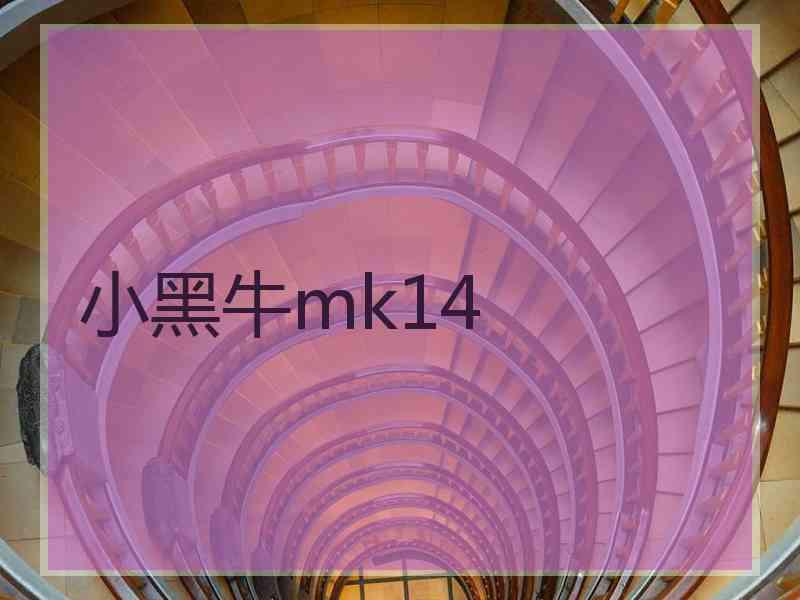 小黑牛mk14