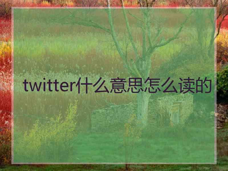 twitter什么意思怎么读的