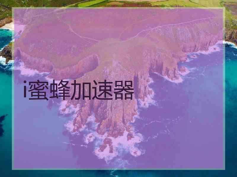 i蜜蜂加速器