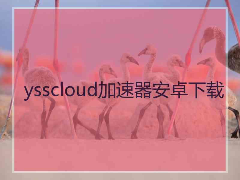 ysscloud加速器安卓下载