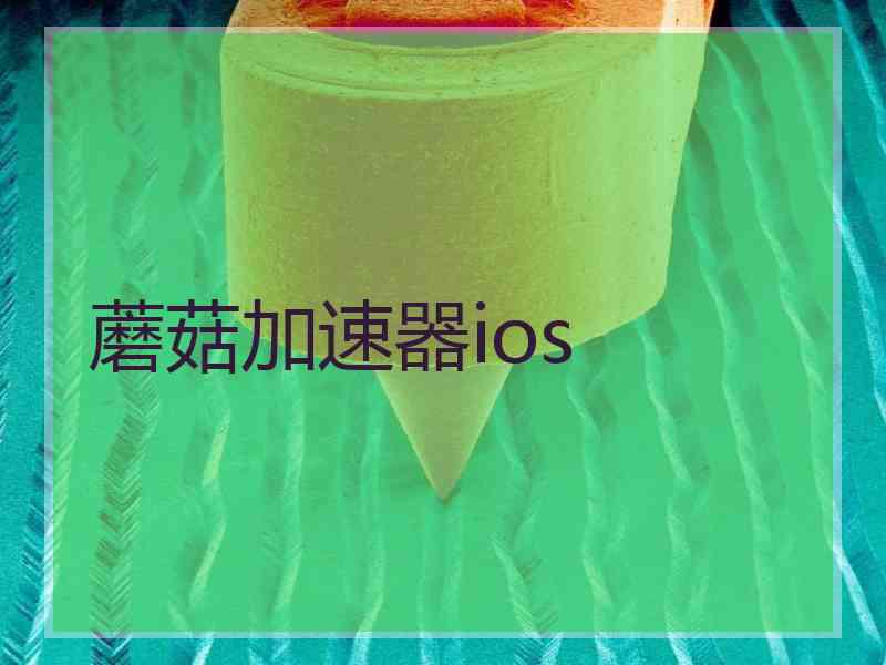 蘑菇加速器ios