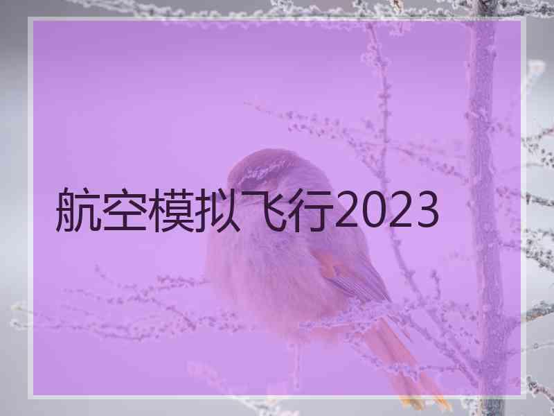 航空模拟飞行2023