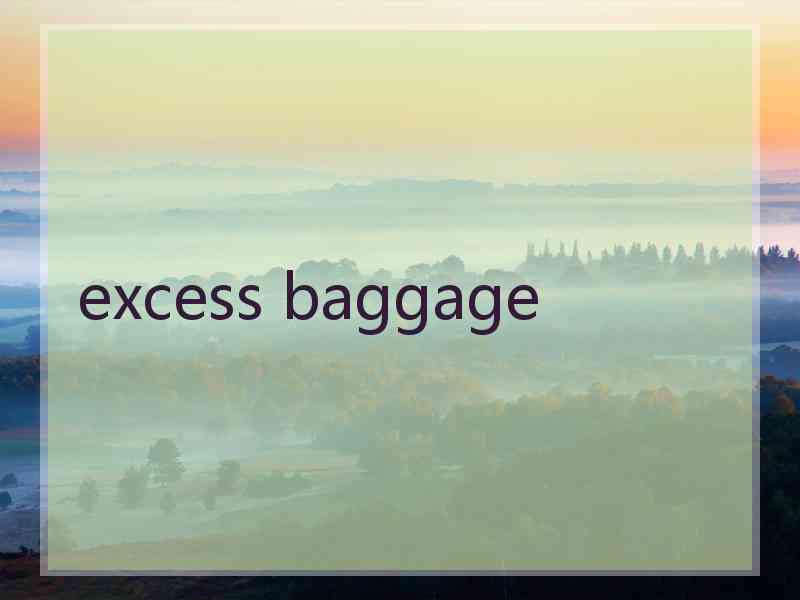 excess baggage