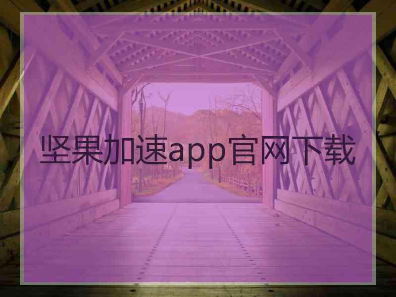 坚果加速app官网下载