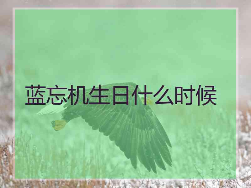 蓝忘机生日什么时候