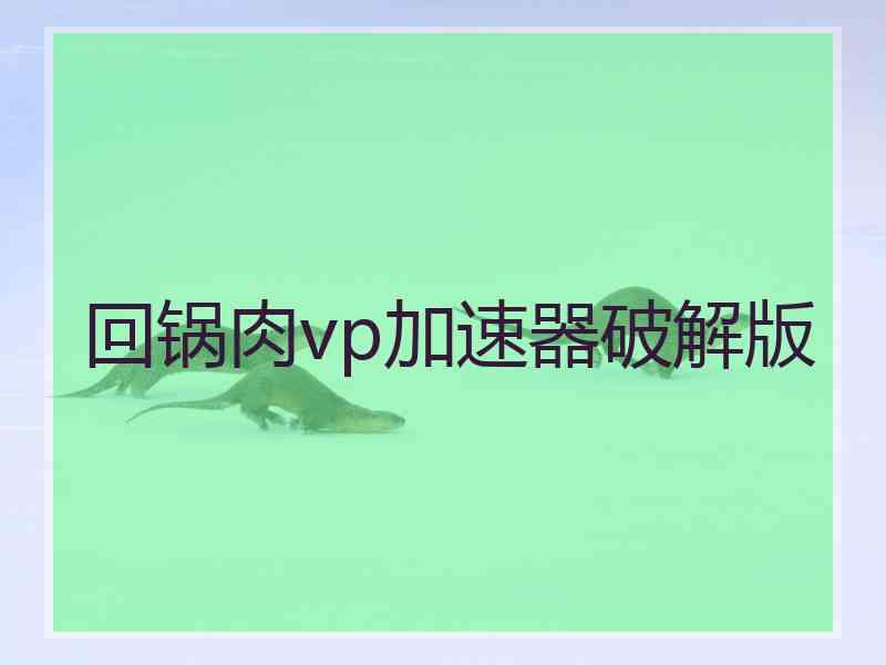 回锅肉vp加速器破解版