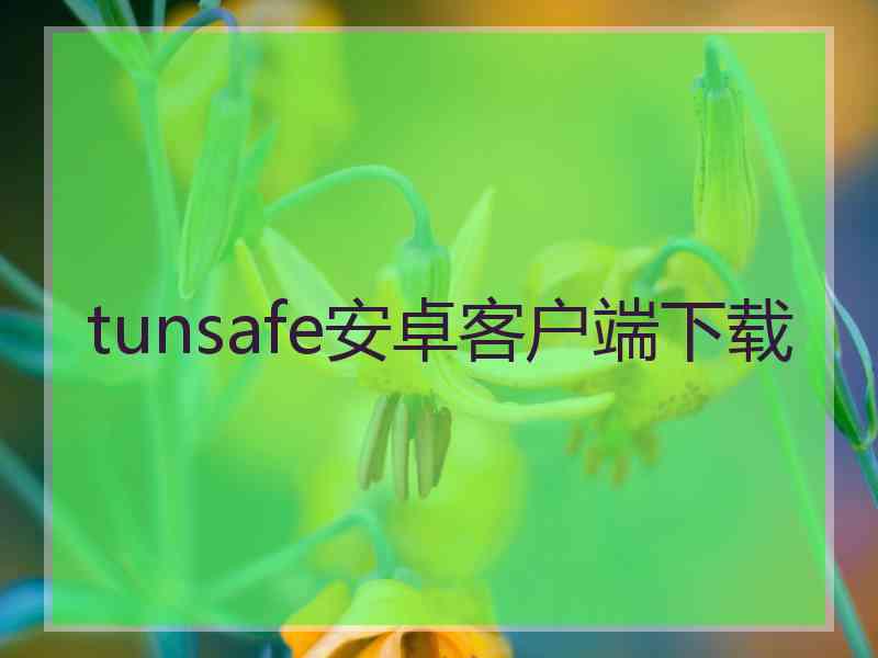 tunsafe安卓客户端下载